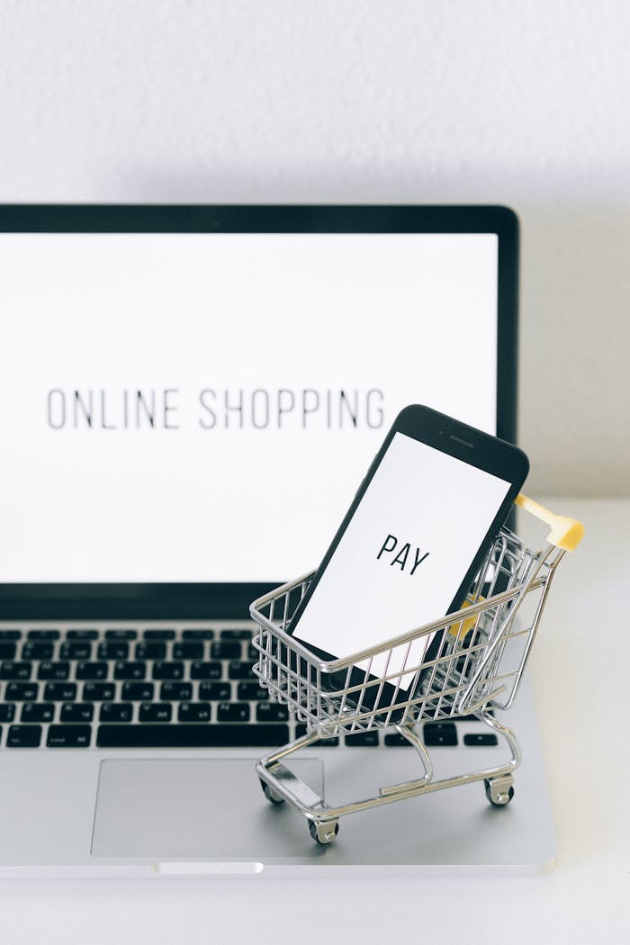 services-03 A smartphone in a miniature cart on a laptop symbolizes online shopping and digital payment.